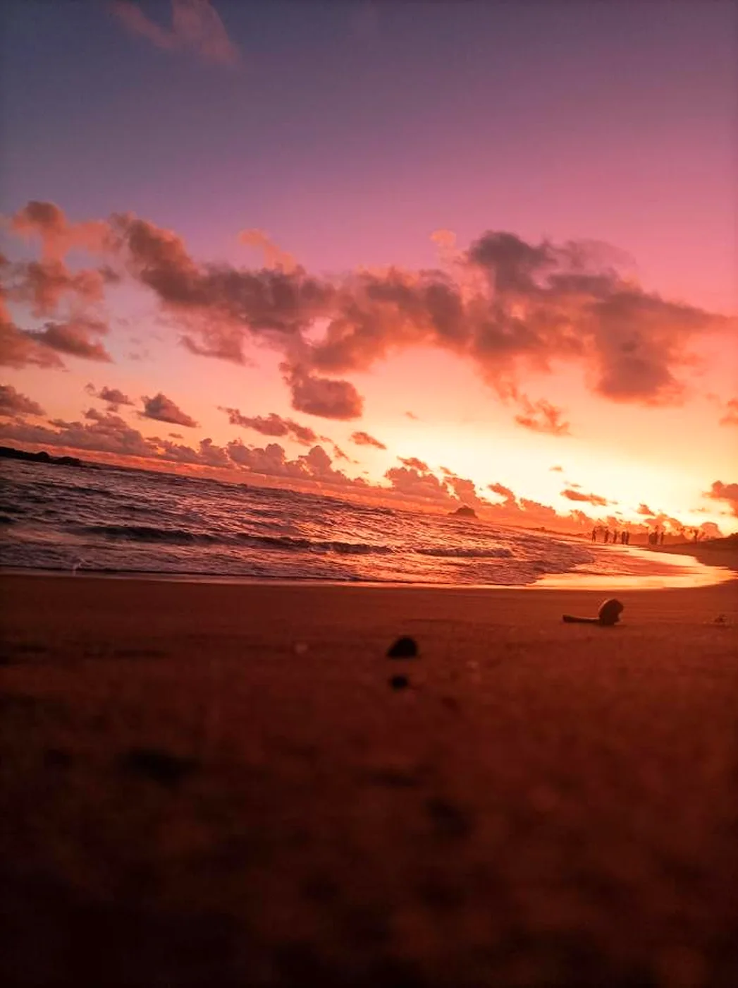 Pink dawn over the beach near Midigama