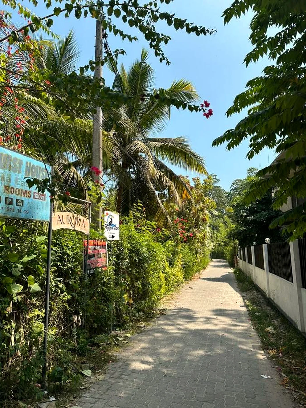 The quiet lane leading to AURORA Midigama